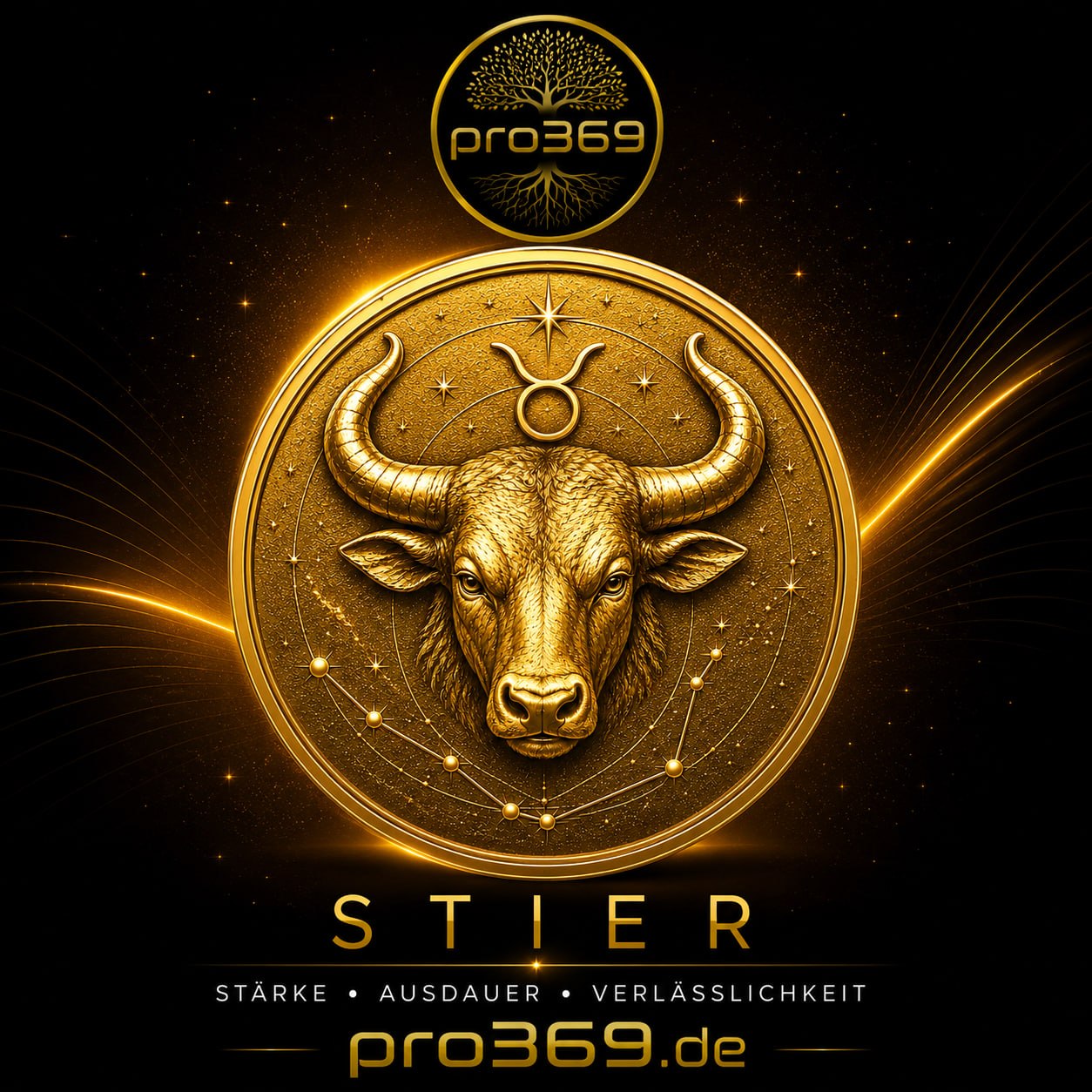 Stier