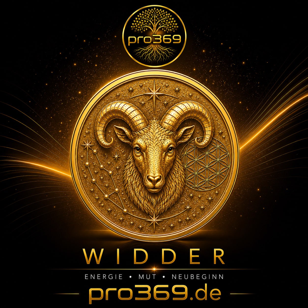 Widder